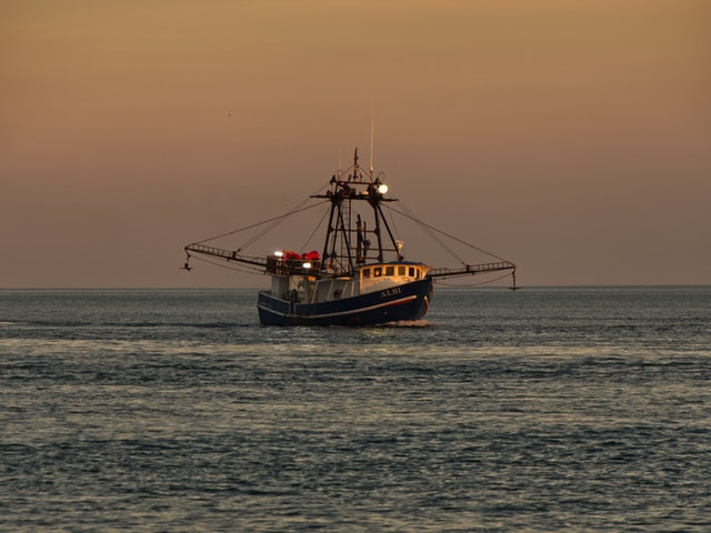 Seaspiracy neemt het niet zo nauw met de waarheid